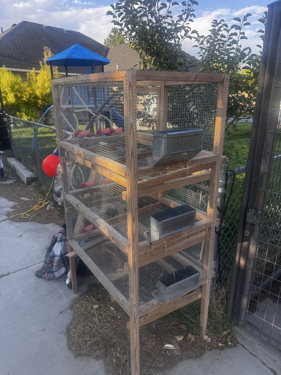 3-tier Animal quail Hutch with water system and Feeders