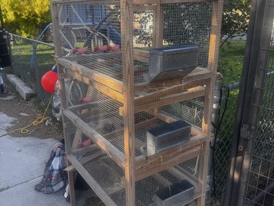 3-tier Animal quail Hutch with water system and Feeders