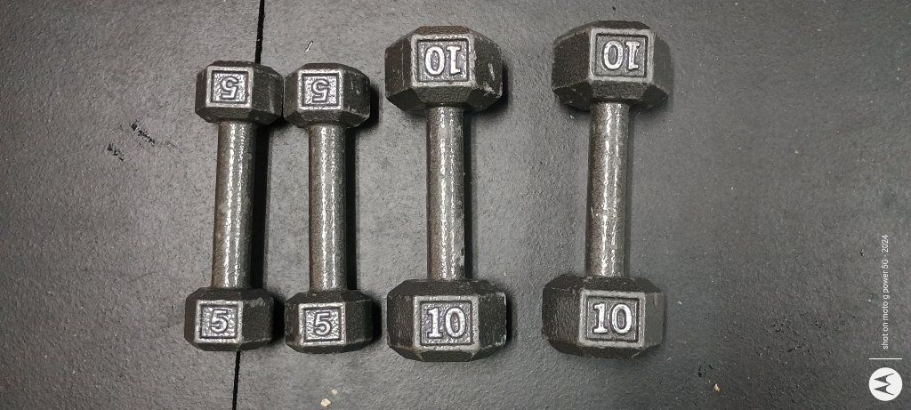 pairs of 5 and 10lb cat iron hex dumbbells