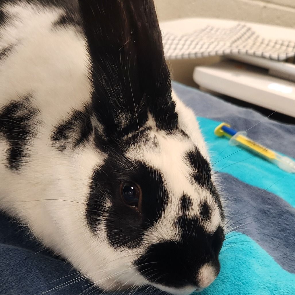 Hello my name is Cici