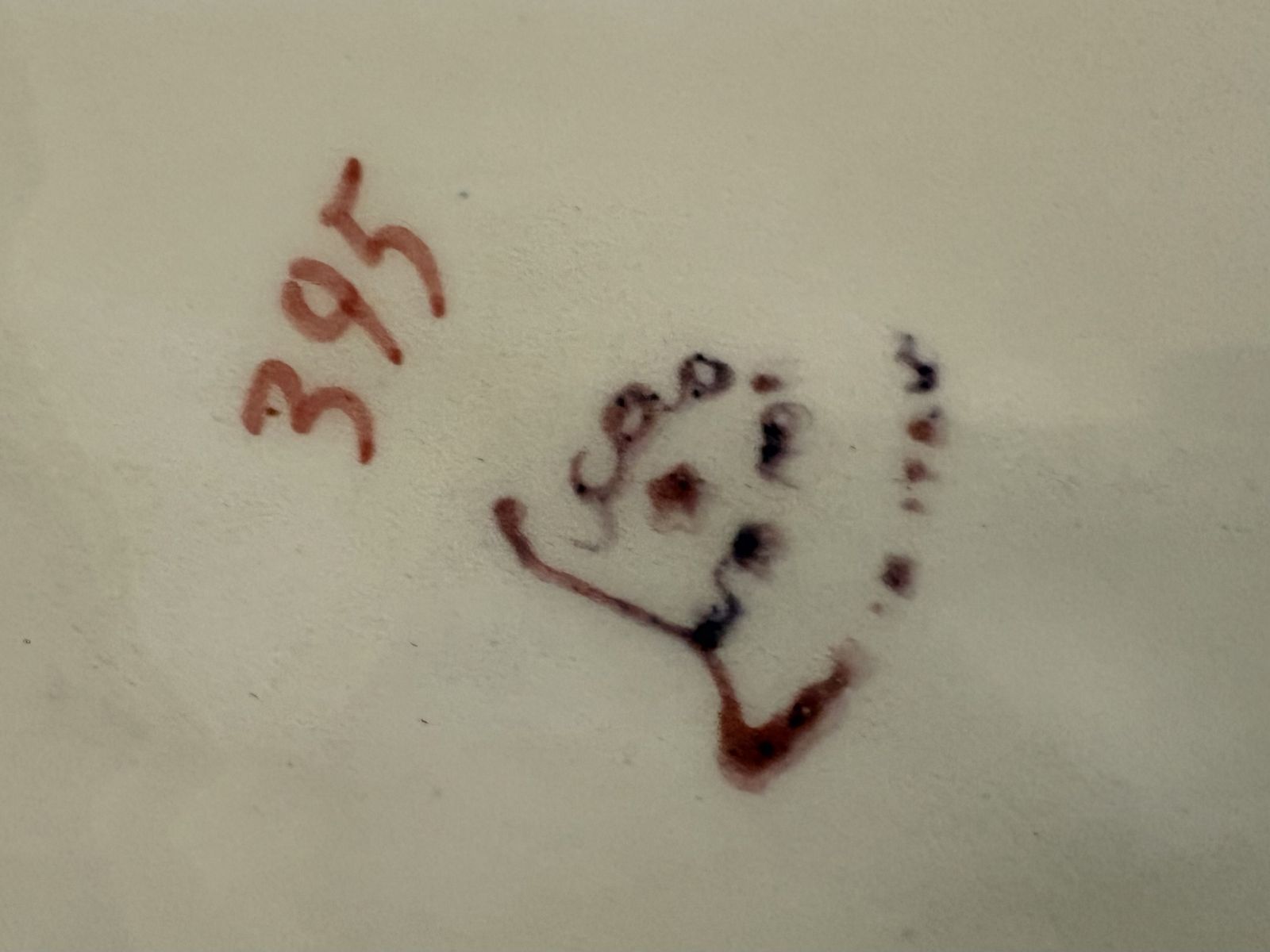Main image 7