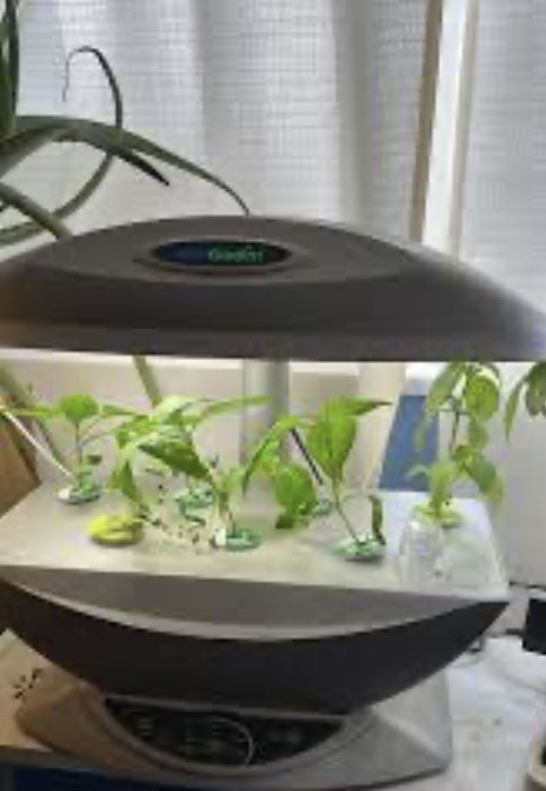 AeroGarden Countertop Indoor Hydroponic Garden System with Grow Light $35. OBO 801 891-6386 Tori