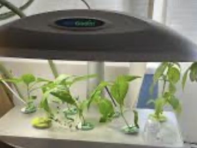 AeroGarden Countertop Indoor Hydroponic Garden System with Grow Light $35. OBO 801 891-6386 Tori
