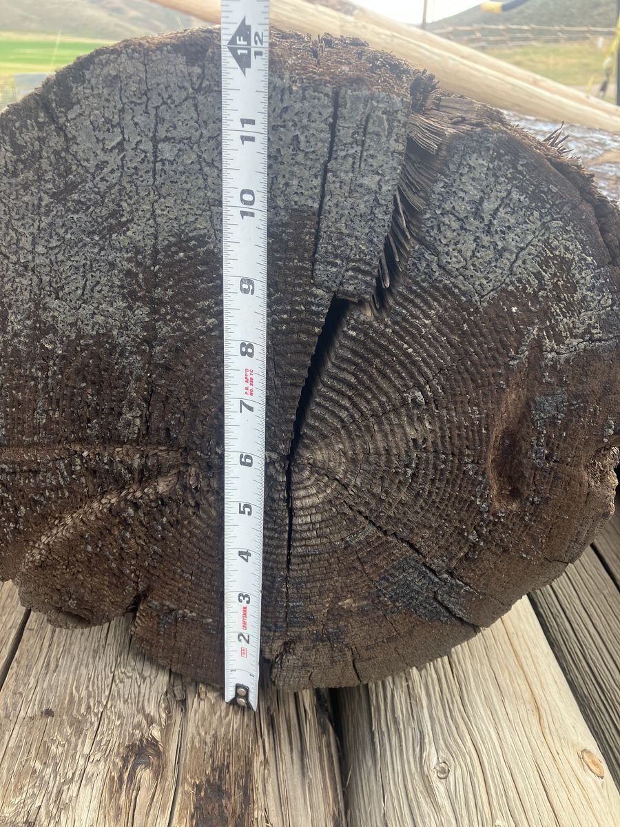 Main image 5