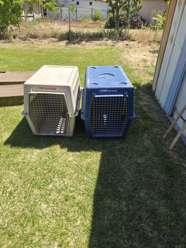 LARGE DOG KENNELS