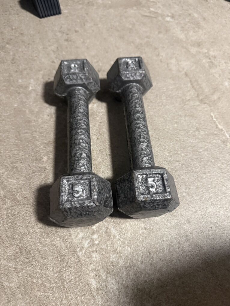 5lb Dumbbell Pair