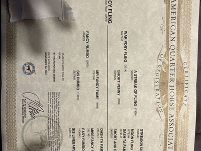 2024 AQHA BayRoan Mare ELIGABLEFORINCENTIVES 2in1