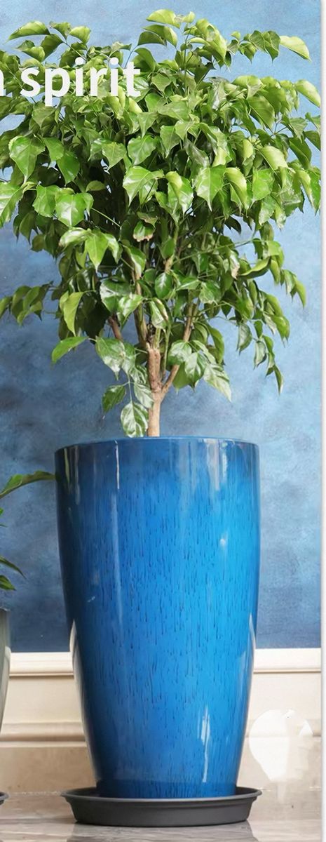 New Teal Resin Planters – Indoor/Outdoor – $40 Each or $140 for All 4