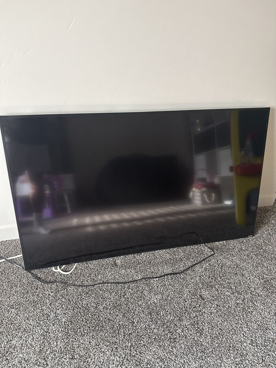 FREE Vizio Flat Screen Television