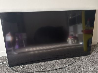 FREE Vizio Flat Screen Television