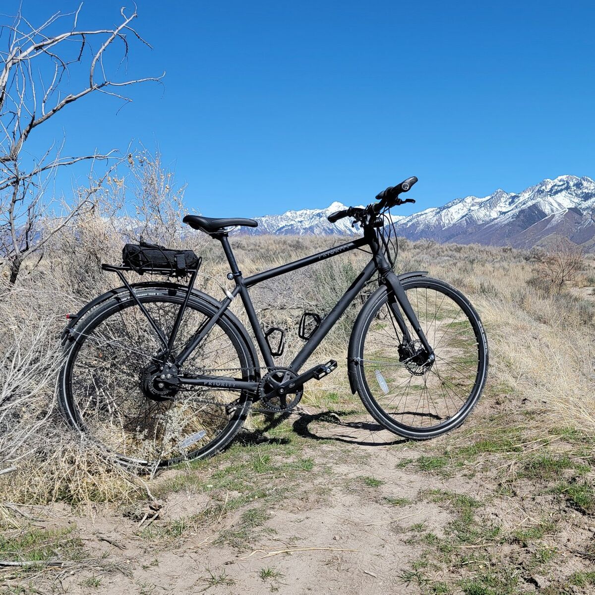 Priority Continuum Onyx Size M Belt Drive Commuter