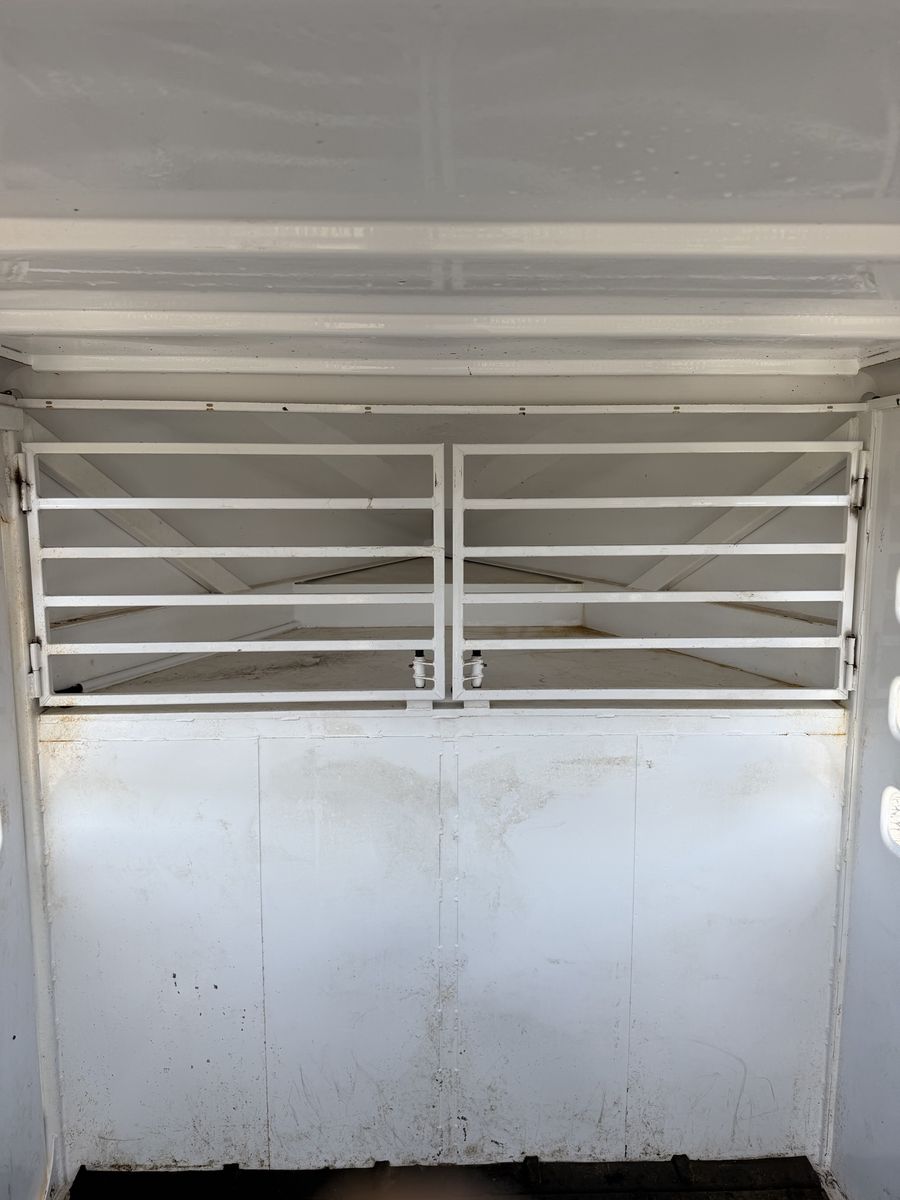 Main image 8