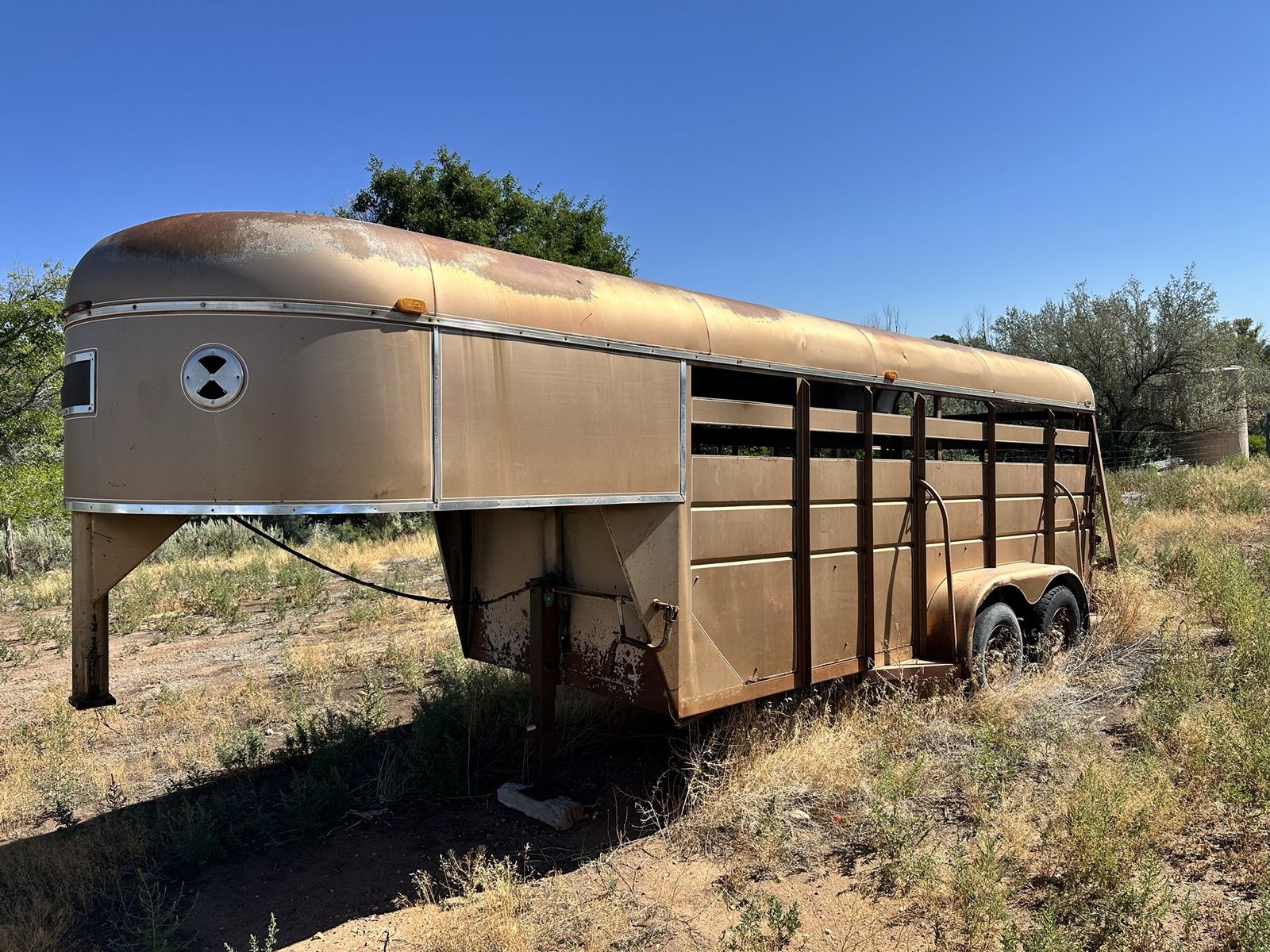 Older Tandem Axle Livestock / Horse Trailer - Gold