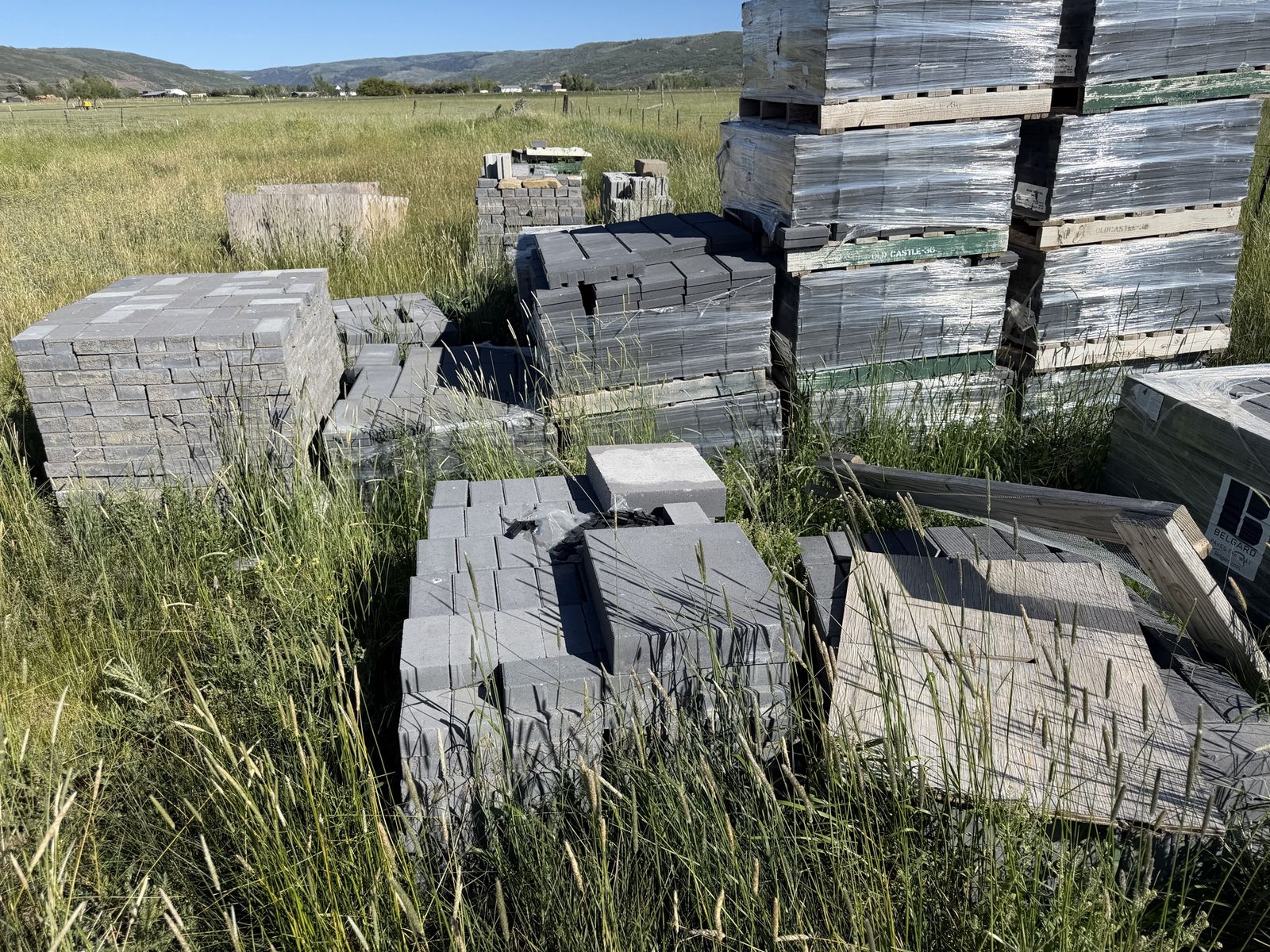 Main image 6