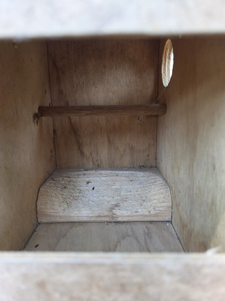 Main image 2