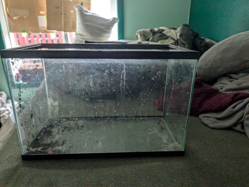 5 gallon glass tank