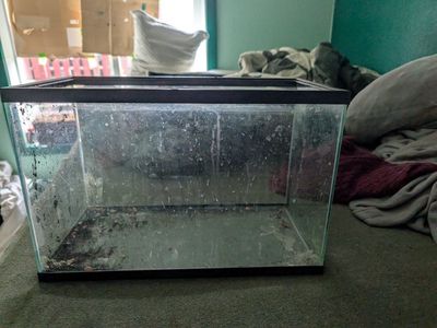 5 gallon glass tank