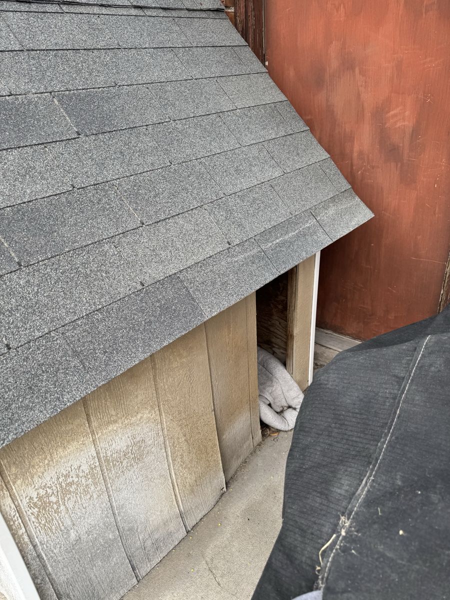 Free Heated Dog House