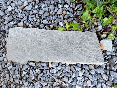 Stone mountain 2" patio stone 80% of a palette