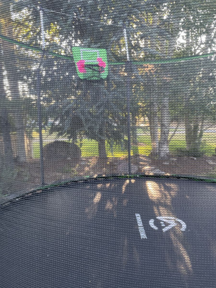 12 ft Trampoline with Enclosure & Basketball Hoop