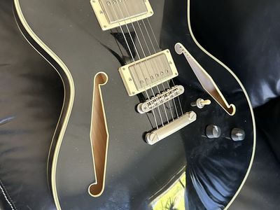 D'Angelico DC Permier