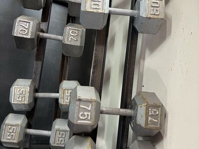 Heavy Dumbbells And Stand