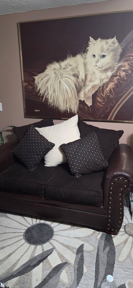 Leather/ suede, couches.