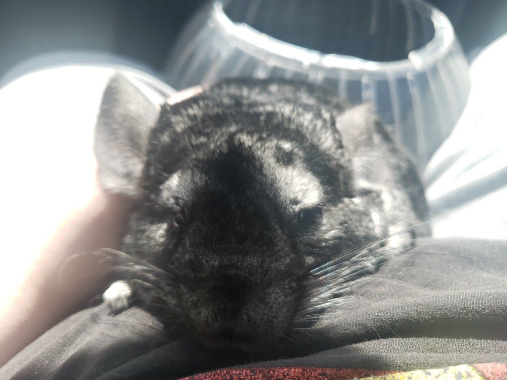 Main image 6