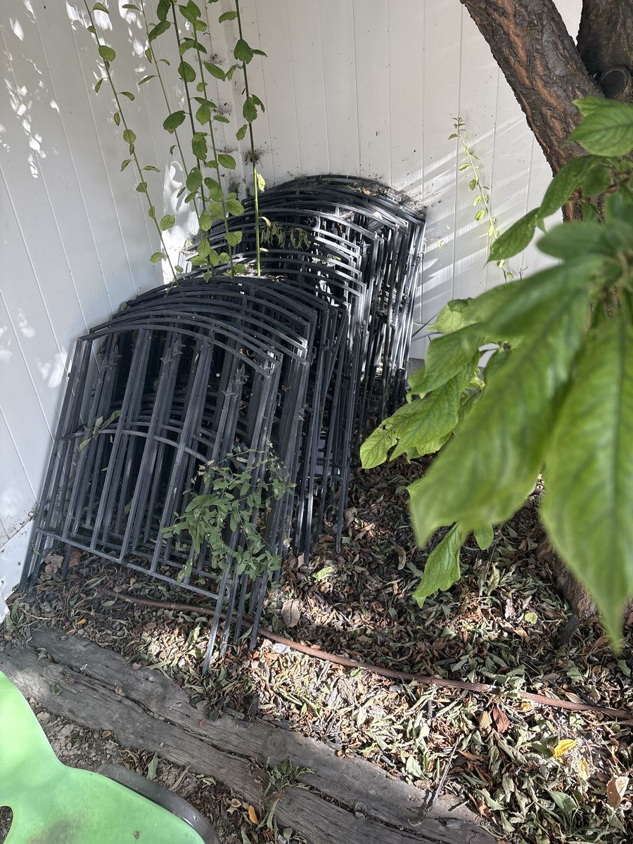 Garden Black Iron Fencing