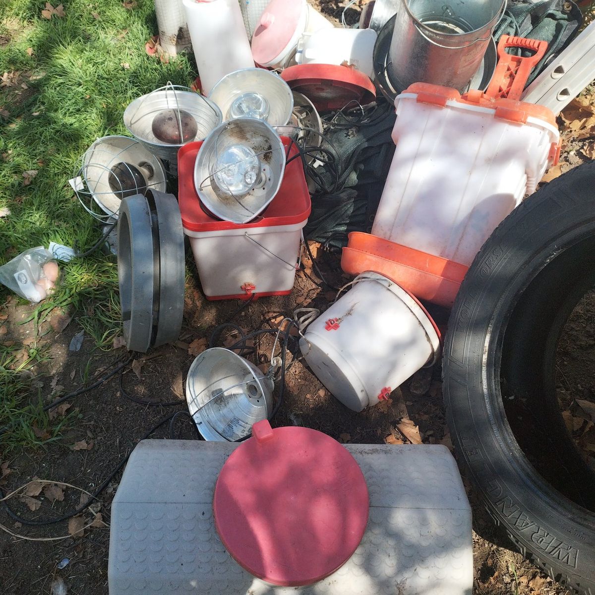 chicken hen duck turkey Quail feeder waterer light