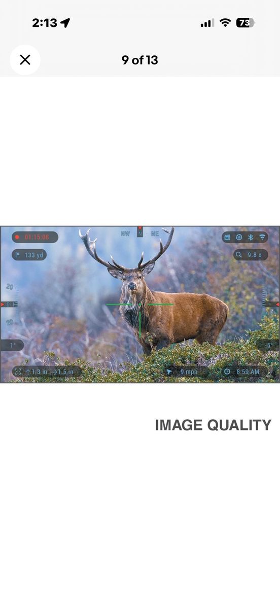 Main image 5