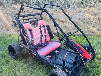 Coleman Go Kart
