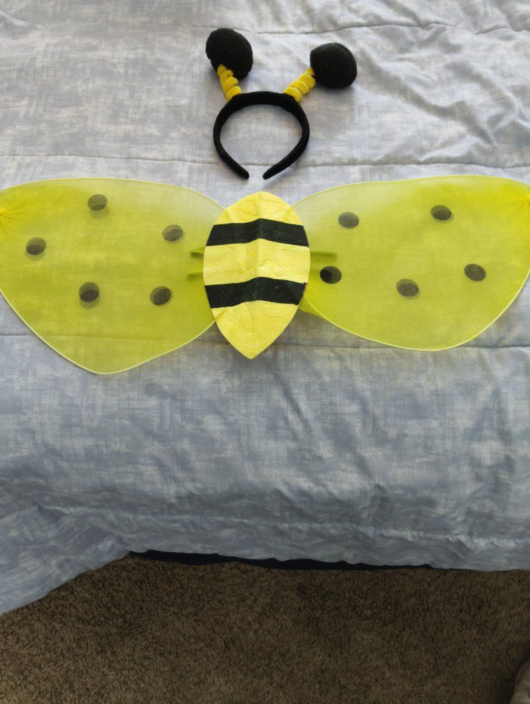 Childs bee costume