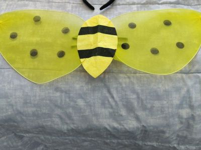 Childs bee costume