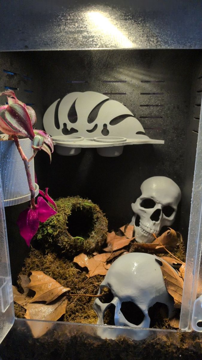 custom crested gecko enclosures