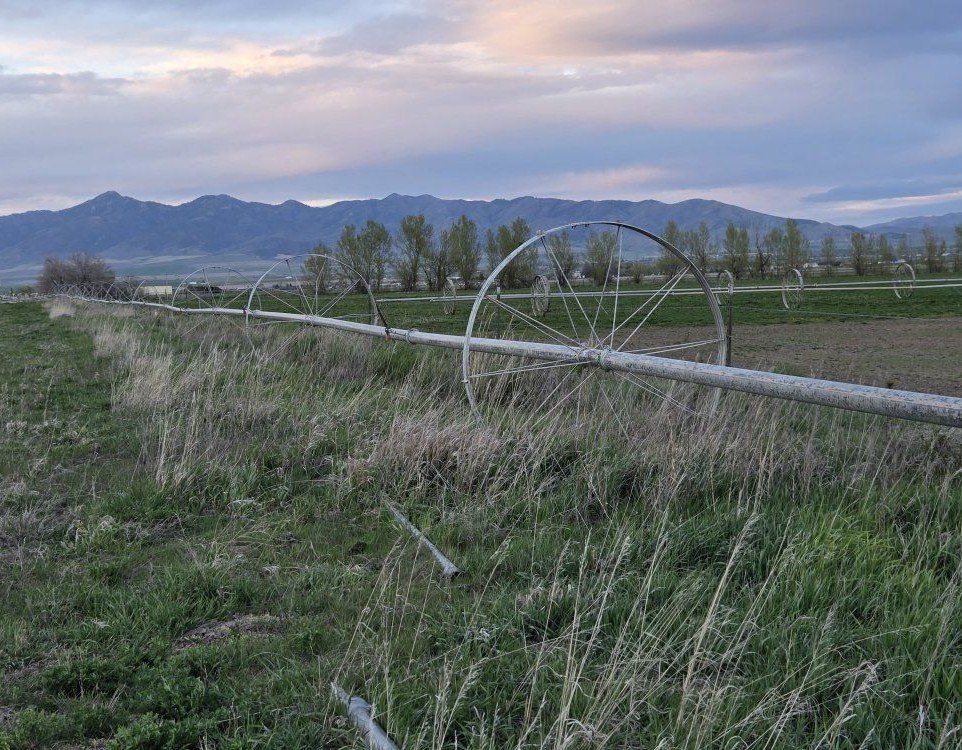 1/4 mile wheel line