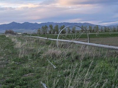 1/4 mile wheel line
