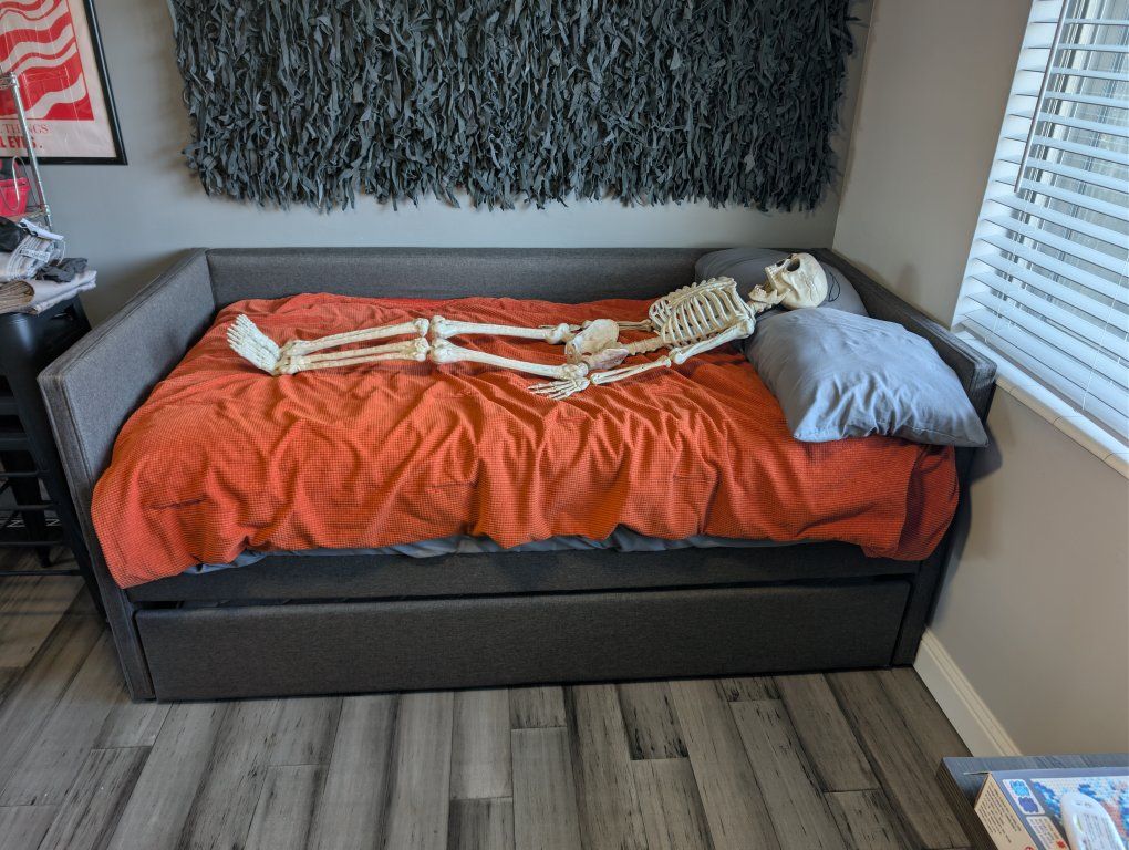 Daybed with trundle. Mattresses included