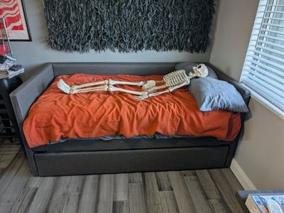 Daybed with trundle. Mattresses included