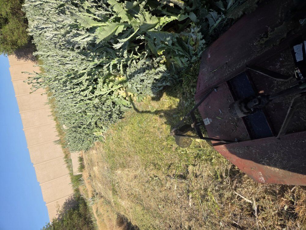 bush hog rotary mower