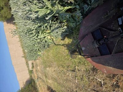 bush hog rotary mower