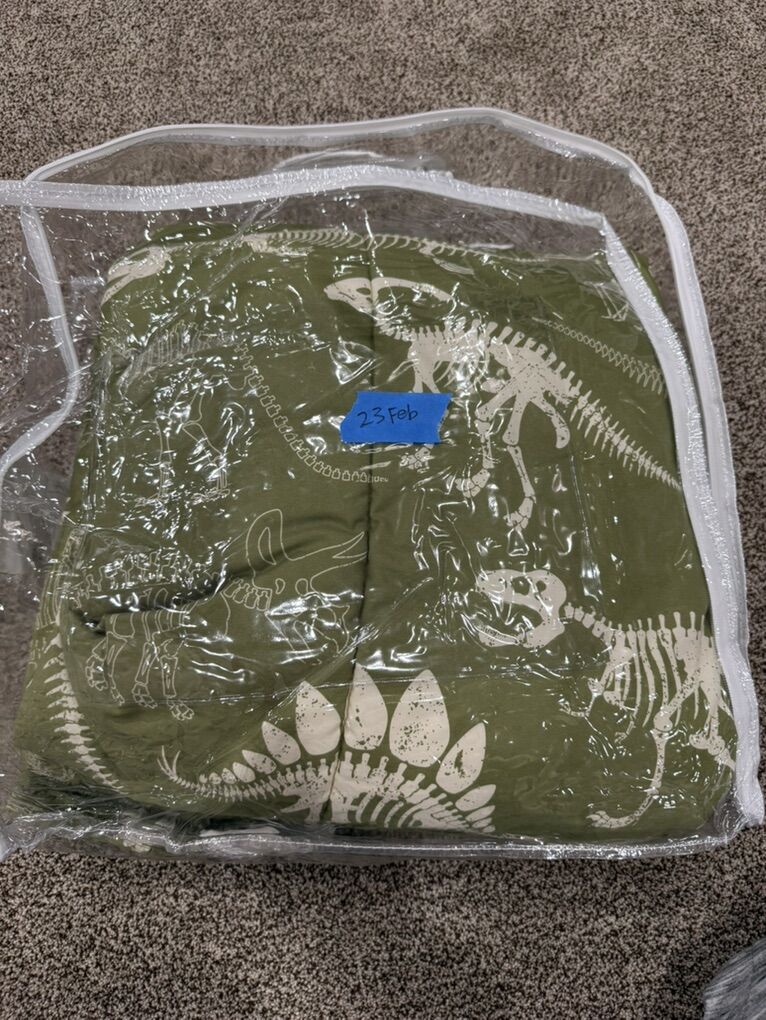 Beddys Nod Winks Fossils TWIN