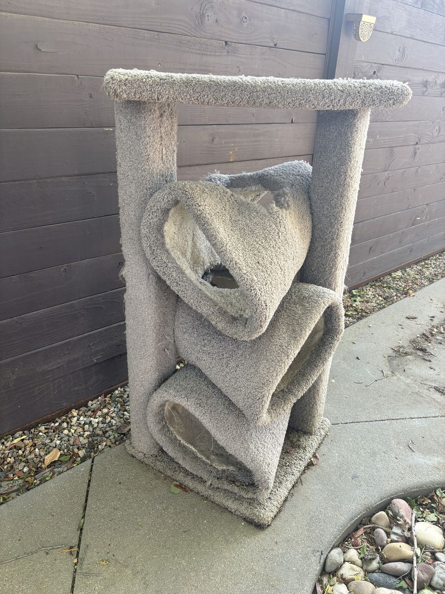 Free outdoor cat tree