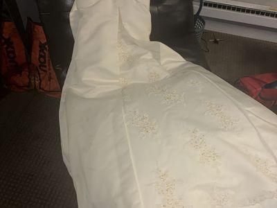 David’s Bridal DaVinci Dress