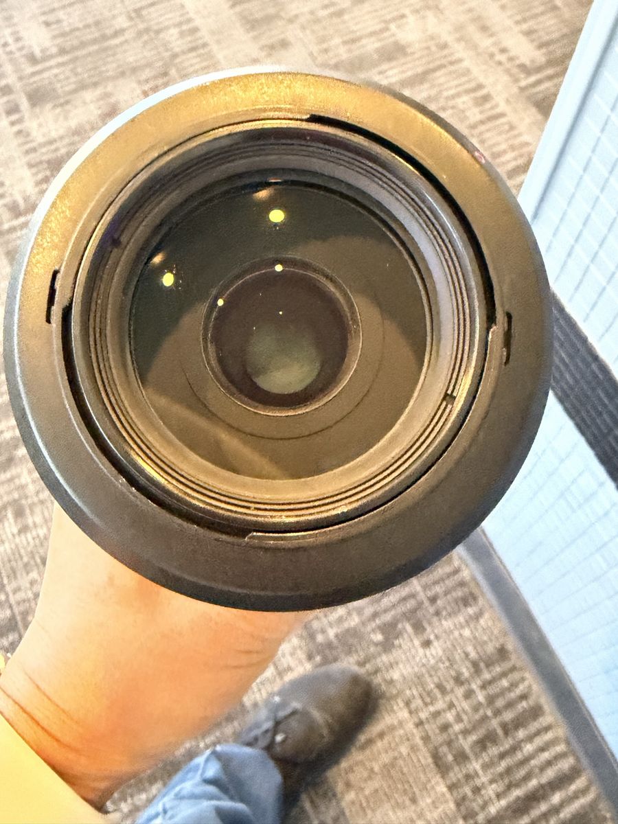 Main image 7