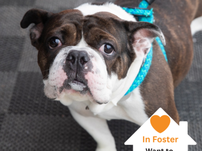 Hello my name is Oopsie Daisy