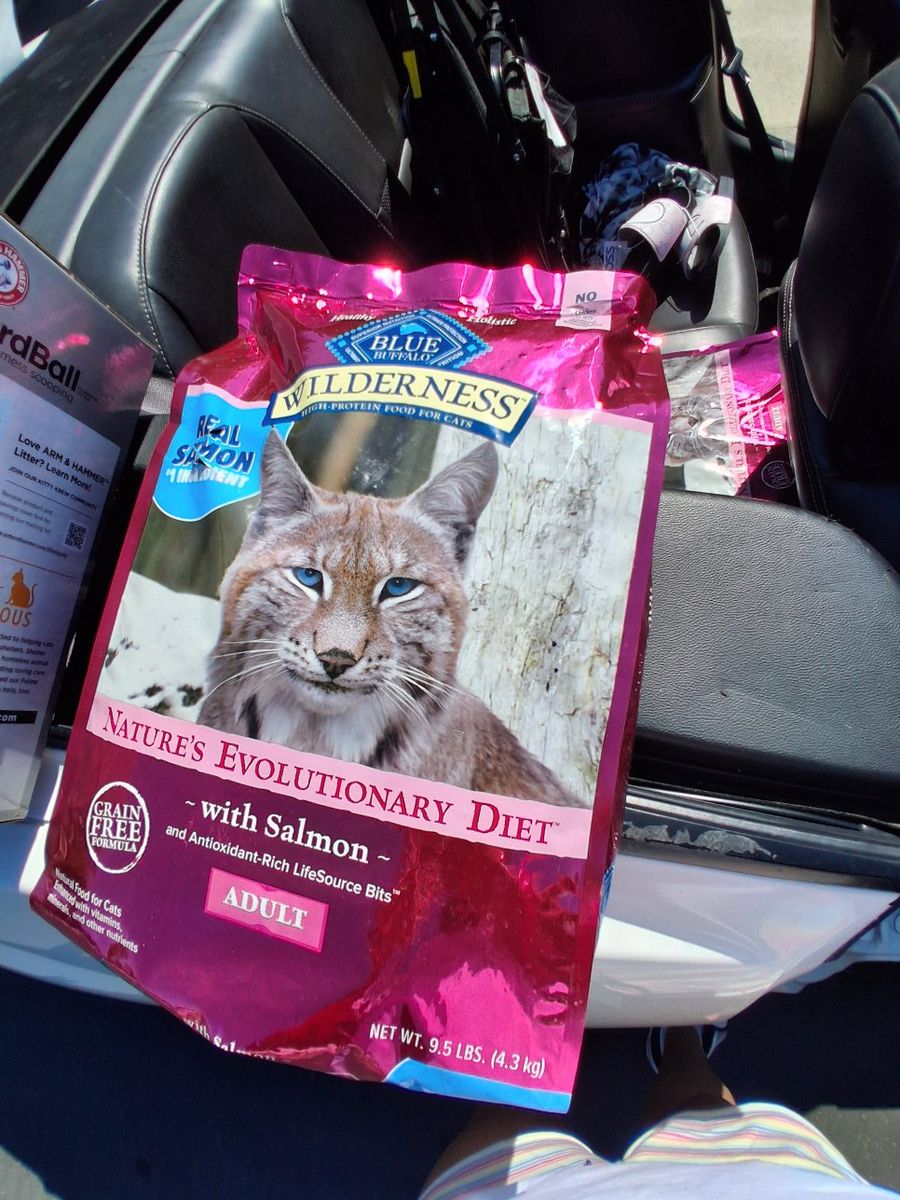 cat food