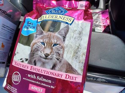 cat food