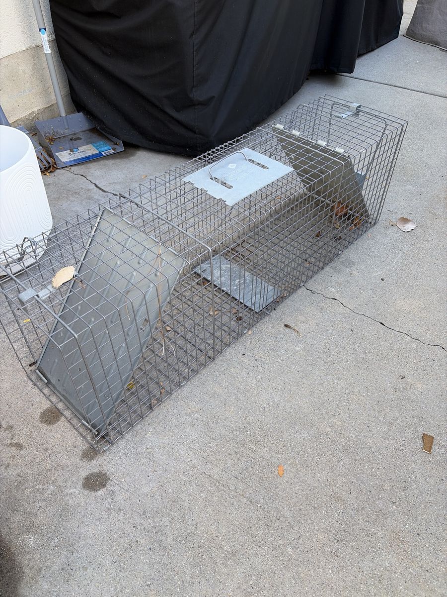 Havahart trap, raccoon skunk size - msrp $99