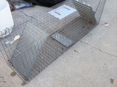 Havahart trap, raccoon skunk size - msrp $99